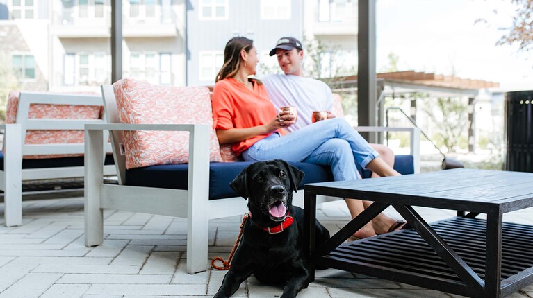 Pet-Friendly Amenities and Lounge Spaces