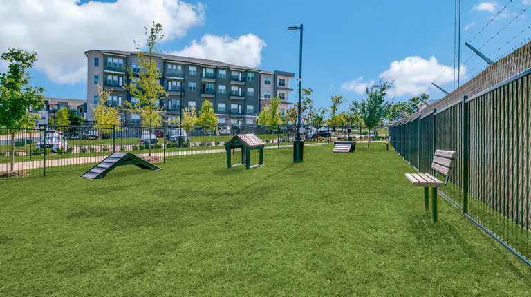 Spacious dog park with obstacle course
