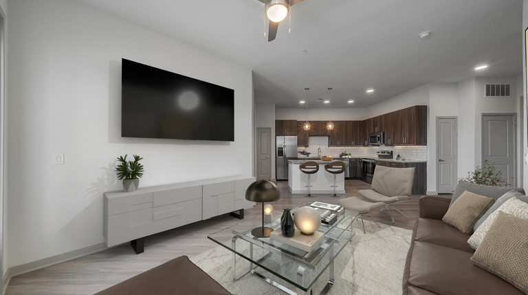 Open concept living room and kitchen